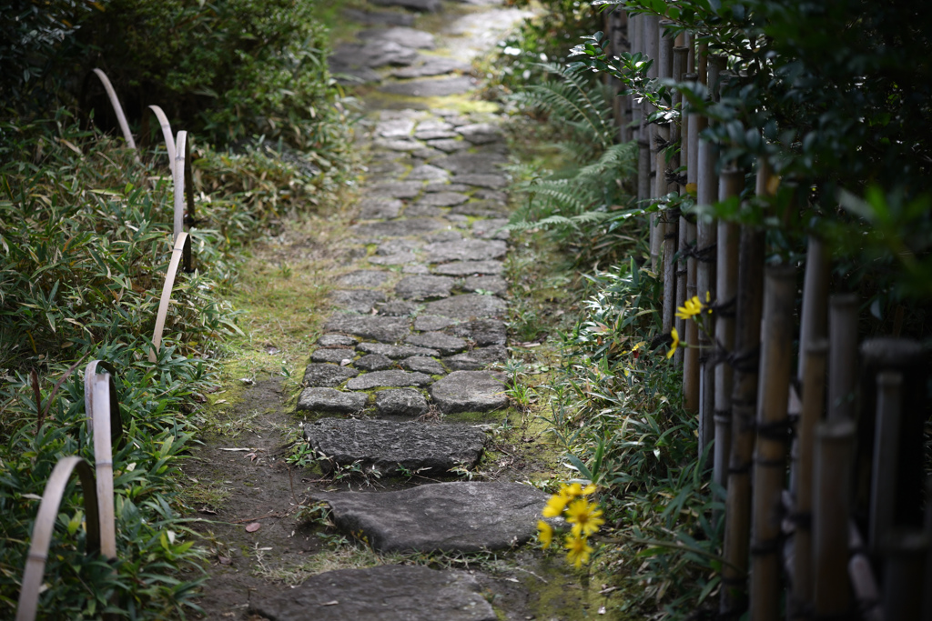 秋、深まりて・・・06