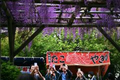 東京散策～江東区亀戸天神05
