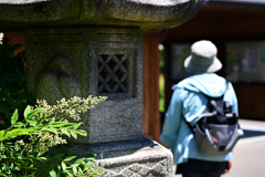 東京散策～葛飾区堀切菖蒲園13