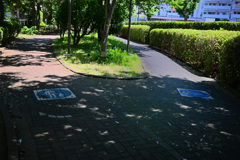 歩車分離