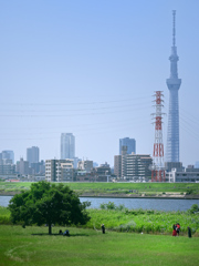 荒川・中川下流域散策23