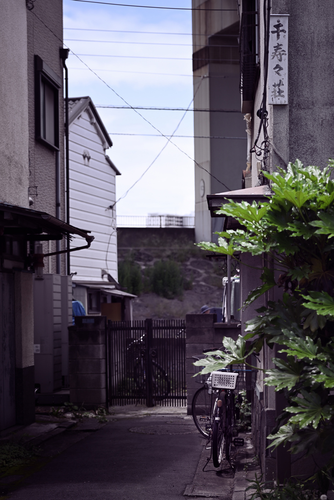 東京散策～葛飾区堀切04