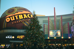 東京散策～舞浜出張編04