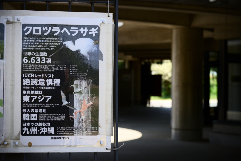 東京散策～葛西臨海公園09