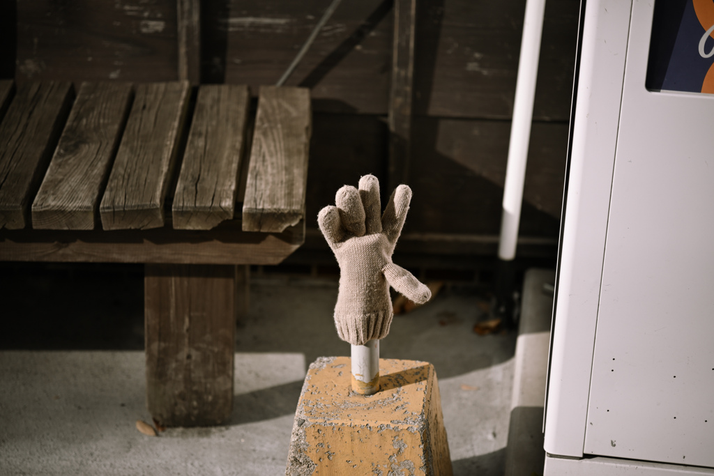 おいでおいで！