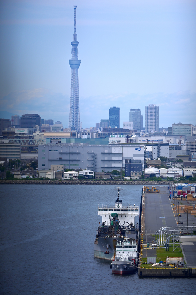 東京散策～江東区若洲22