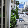 東京散策～江東区富岡16
