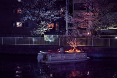 夜の東京散策～お江戸深川さくらまつり2025_05