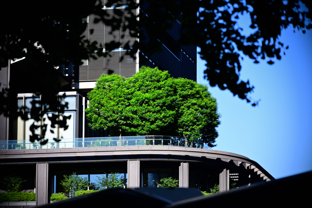 東京散策～丸の内10