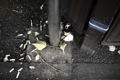 東京散策～丸の内47