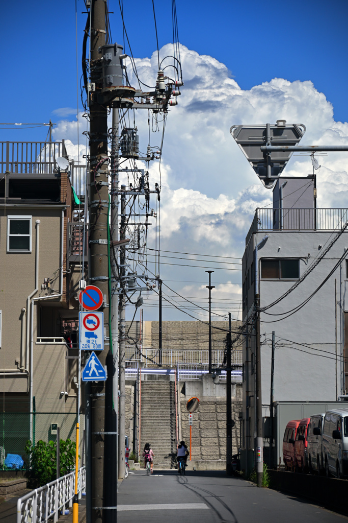 堤防の上の夏雲