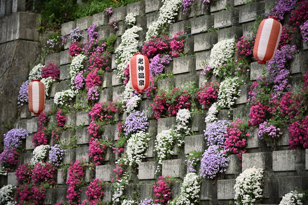 探訪記～群馬県沼田市～老神温泉14