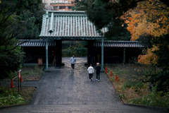 東京散策～文京区湯島33
