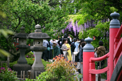 東京散策～江東区亀戸天神09