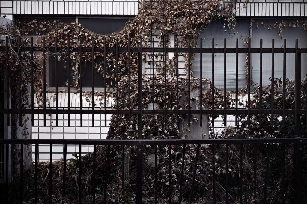 東京散策～文京区湯島01