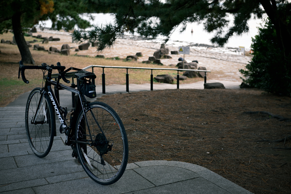 東京散策～葛西臨海公園21