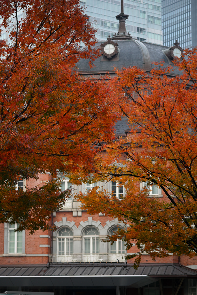 東京散策～丸の内42