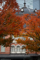 東京散策～丸の内42