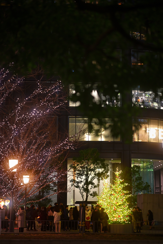 丸の内イルミ2025 13