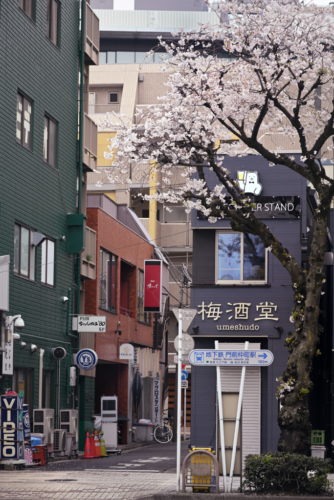 東京散策～江東区富岡02