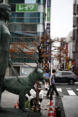 東京散策～港区新橋30