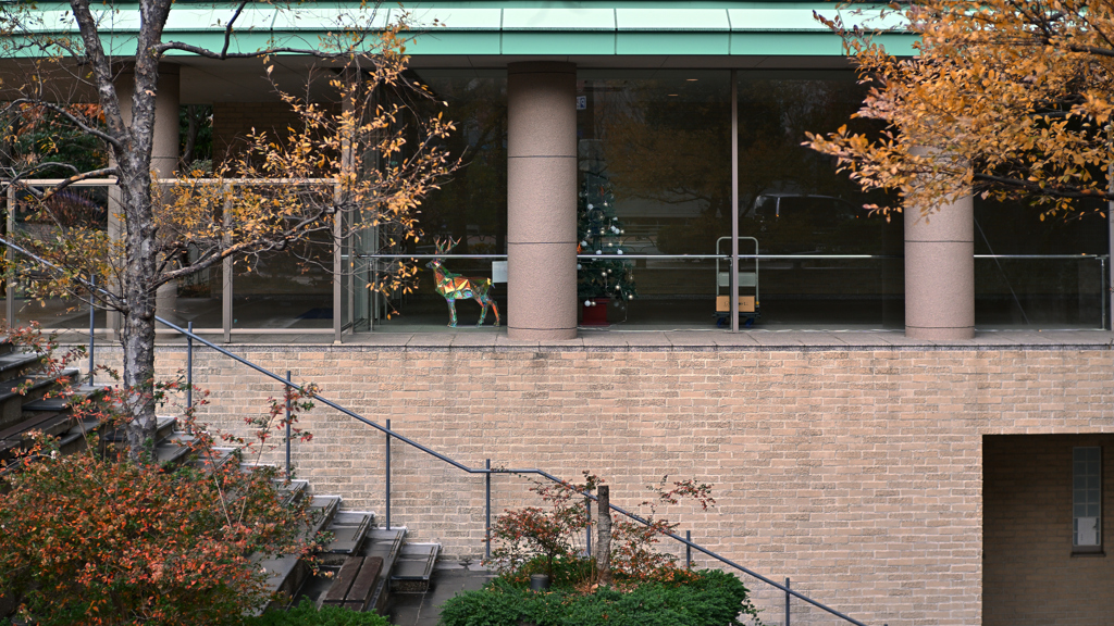 東京散策～江東区砂町63