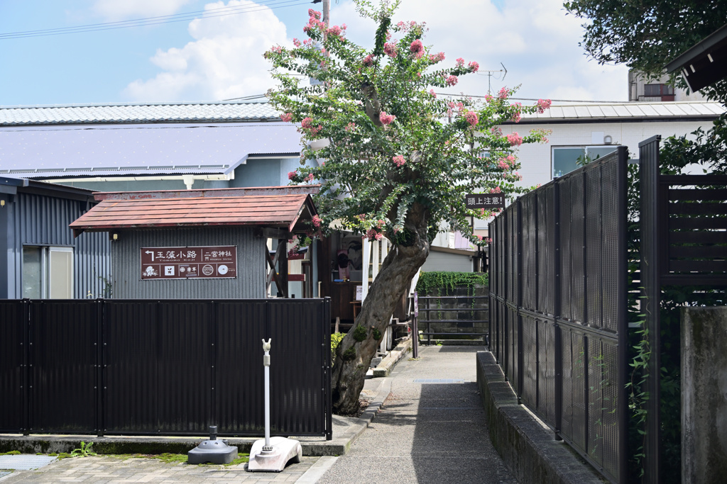 立寄地の風景～玉藻小路の入り口