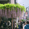 東京散策～江東区亀戸12