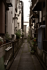 裏路地散策02