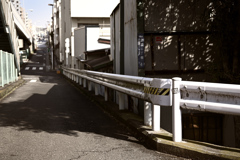 東京散策～墨田区立花03