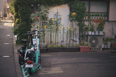 東京散策～江東区砂町48