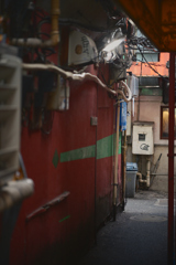 東京散策～品川区大井35