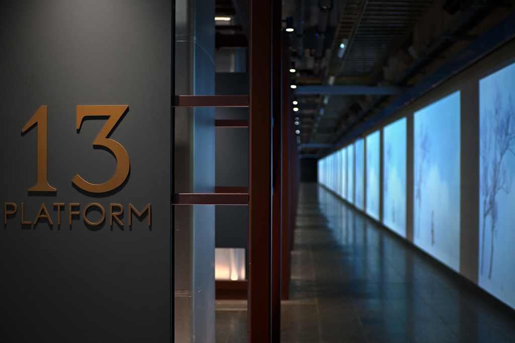 上野駅 地平ホームの地平線07