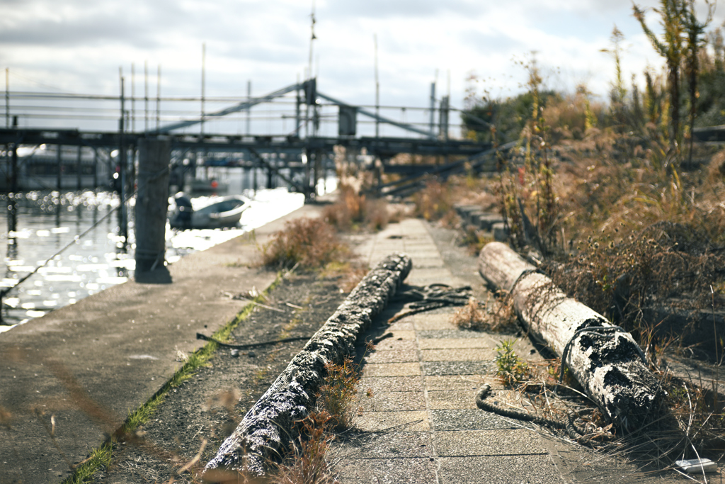 荒川・中川下流域散策30