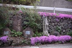 探訪記～群馬県沼田市～老神温泉06