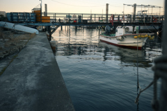 荒川・中川下流域散策39