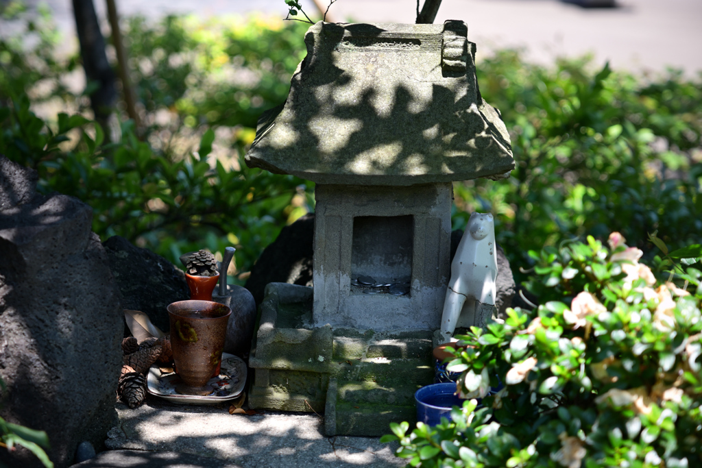 東京散策～葛飾区堀切菖蒲園06