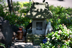 東京散策～葛飾区堀切菖蒲園06