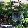 東京散策～葛飾区堀切菖蒲園06