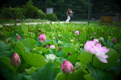 立寄地の風景～日光だいや川公園04