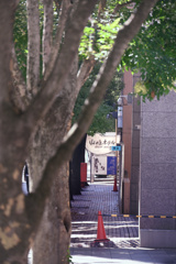 東京散策～御茶ノ水10
