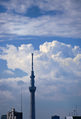 夏空とスカイツリー