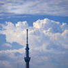 夏空とスカイツリー