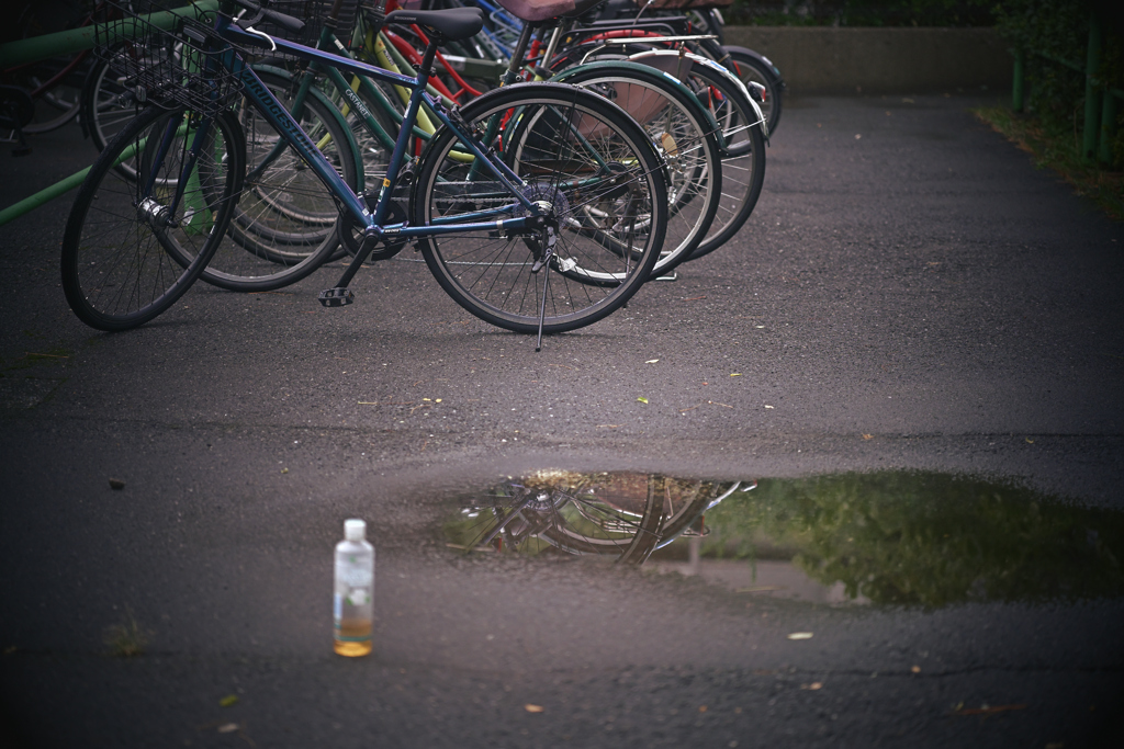 ある雨上がりの駐輪場