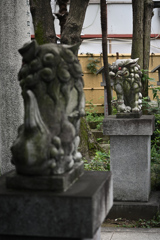 東京散策～板橋区熊野町05