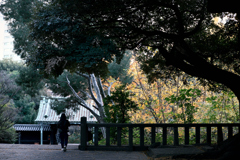 東京散策～文京区湯島36