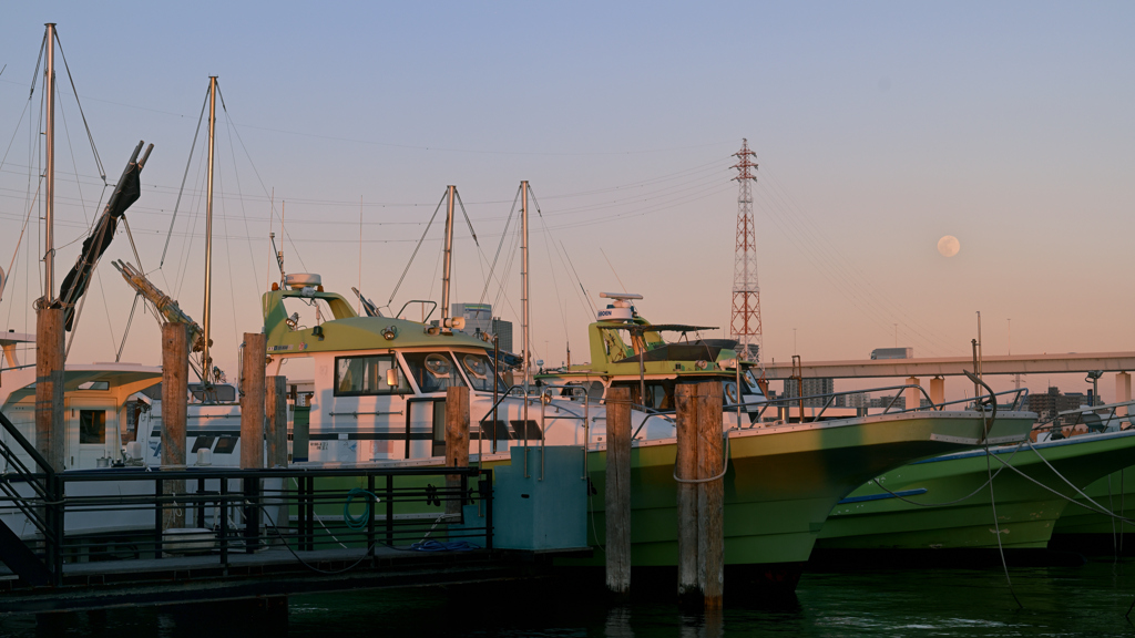 荒川・中川下流域散策37