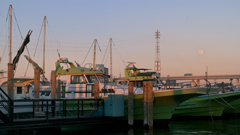 荒川・中川下流域散策37