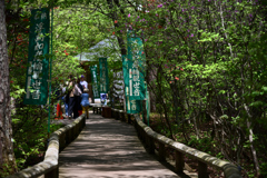 探訪記～群馬県沼田市～吹割渓11