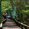 探訪記～群馬県沼田市～吹割渓11